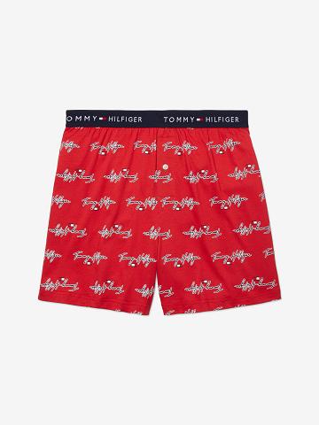 Boxers Tommy Hilfiger Signature knit boxer Homme Rouge | FR_M31563