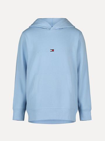 Sweat À Capuche Tommy Hilfiger Little Tonal Logo Enfant Bleu | FR_B2029