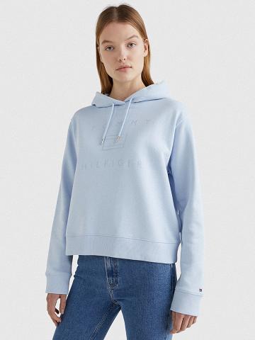 Sweat À Capuche Tommy Hilfiger Metallic Femme Bleu | FR_W21153
