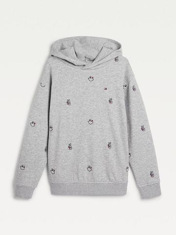 Sweat À Capuche Tommy Hilfiger Organic Coton Smiles Enfant Grise | FR_B2033