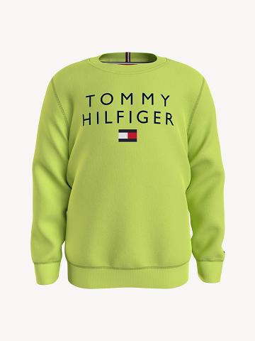 Sweats Tommy Hilfiger Tommy Enfant Vert | FR_B2139