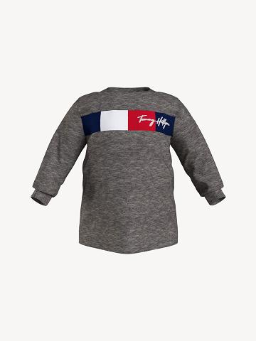T Shirts Tommy Hilfiger Babies' Signature Long Sleeve Enfant Grise | FR_B2155